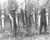 464 wolf river illegal sturgeon off snag lines 1935_tiny